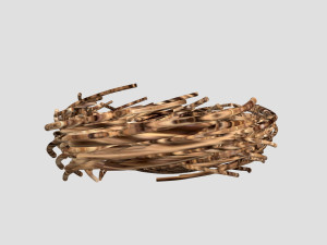 Nest 3D Model