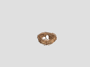 Nest 3D Model