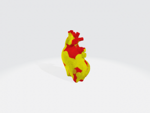 Medical Free 3D Models - Download Medical Free 3D Models 3DExport
