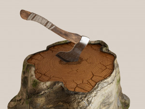 Wooden Hatchet 3D Model