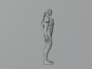 Cyborg insect Model 3D
