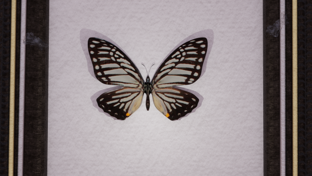 Butterfly in frame 3D Model .c4d .max .obj .3ds .fbx .stl .blend 