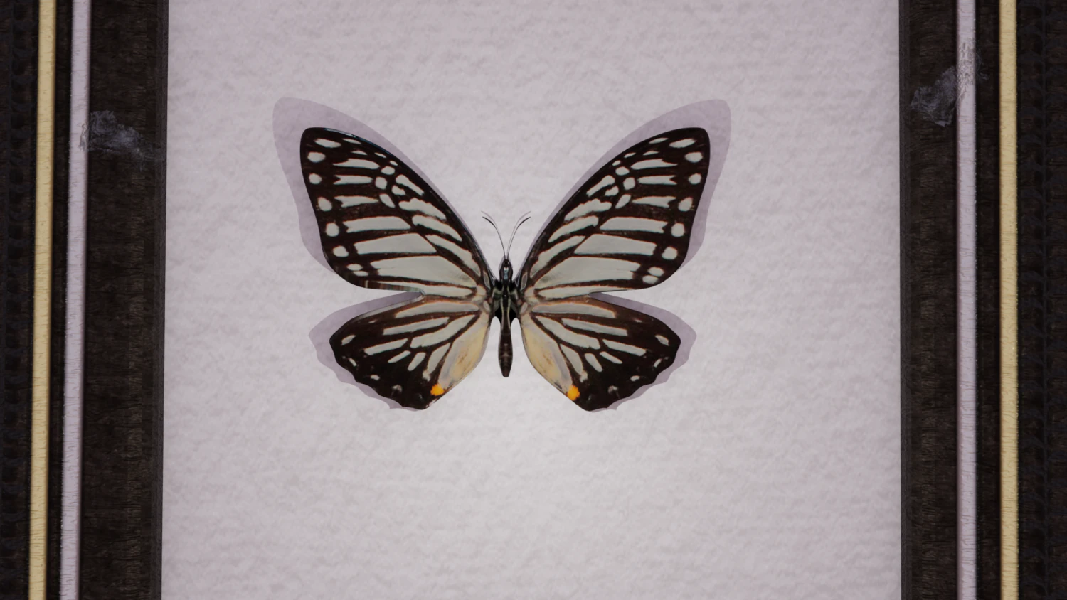 Butterfly in frame 3D Model .c4d .max .obj .3ds .fbx .stl .blend
