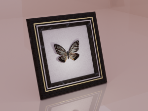 Butterfly in frame 3D Model