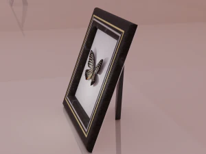 Butterfly in frame 3D Model