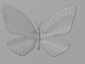Butterfly in frame 3D Model