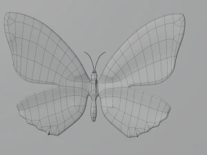 Butterfly in frame 3D Model