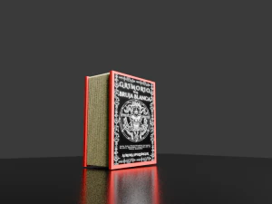 Grimorio Libro 3D Model