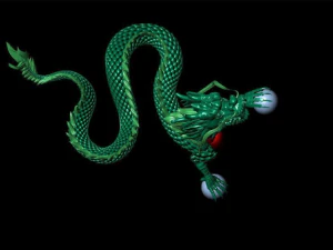 DRAGONSNAKE 3D Model