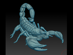 ZODIAC SIGNS 3D 프린트 모델