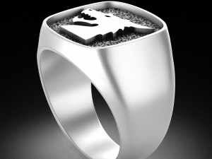 WAHARING 047 STAR-DRAGONGS Modello 3D