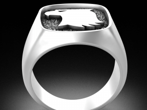 WAHARING 054 RAPTORS Modello 3D