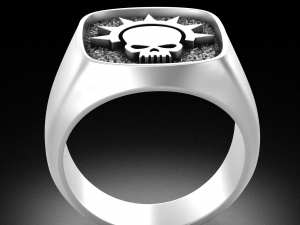 WAHARING 066 ORDER OF THE ARGENT SHROUD 3Dモデル
