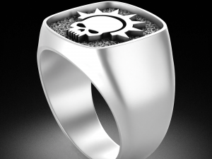 WAHARING 066 ORDER OF THE ARGENT SHROUD 3Dモデル