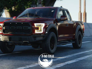 150 Raptor 3D Model