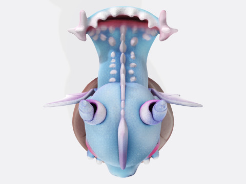 Cute Baby Blue Dragon Ready for 3D Printing Digital Art 3Dプリントモデル