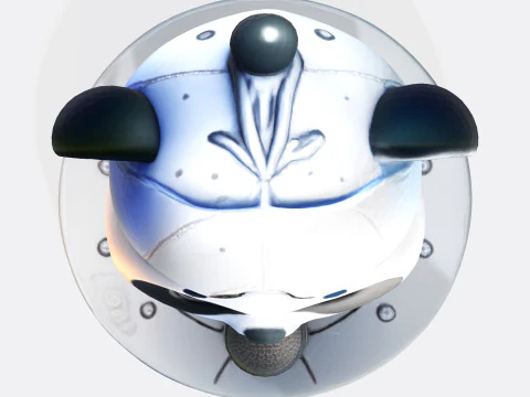 Adorable Panda Singer - Optimized for 3D Print Digital Use 3D Print Model