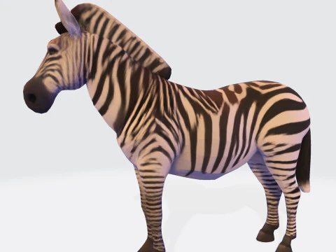 Реалистичный ресурс Zebra, готовый к печати, оптимизированный для игры 3D Модель