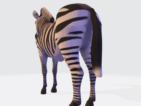 Реалистичный ресурс Zebra, готовый к печати, оптимизированный для игры 3D Модель