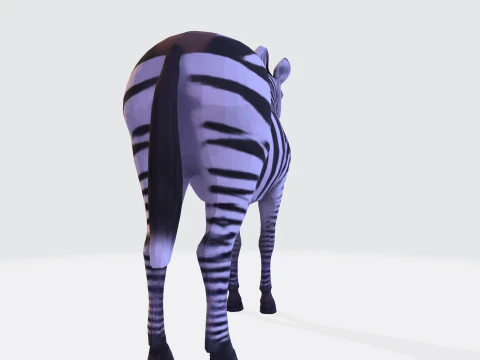 Реалистичный ресурс Zebra, готовый к печати, оптимизированный для игры 3D Модель