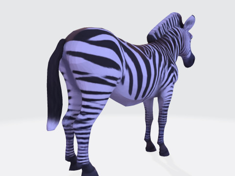 Realistic Zebra Rigging-Ready Printable Game-Optimized Asset Modello 3D