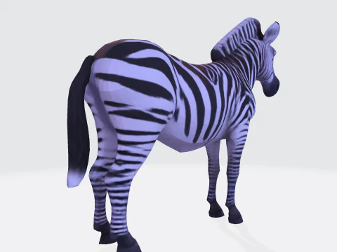 Реалистичный ресурс Zebra, готовый к печати, оптимизированный для игры 3D Модель