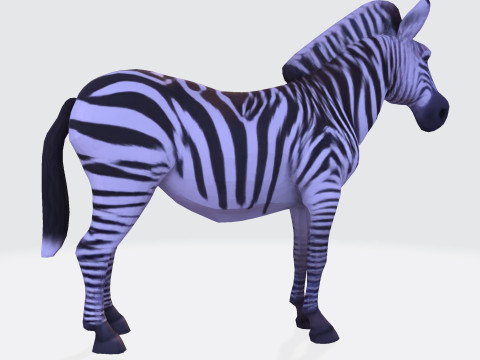 Realistic Zebra Rigging-Ready Printable Game-Optimized Asset Modello 3D