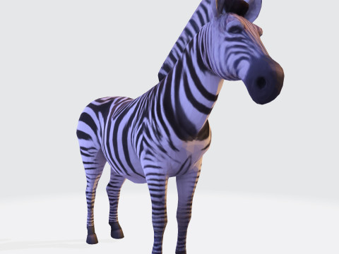 Realistic Zebra Rigging-Ready Printable Game-Optimized Asset Modello 3D