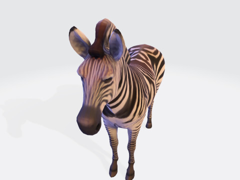 Realistic Zebra Rigging-Ready Printable Game-Optimized Asset Modello 3D