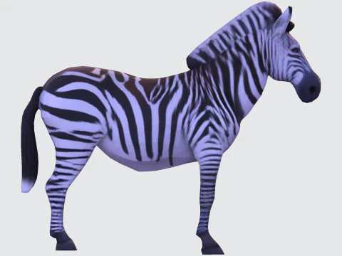 Реалистичный ресурс Zebra, готовый к печати, оптимизированный для игры 3D Модель