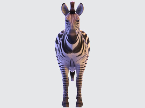 Realistic Zebra Rigging-Ready Printable Game-Optimized Asset Modello 3D