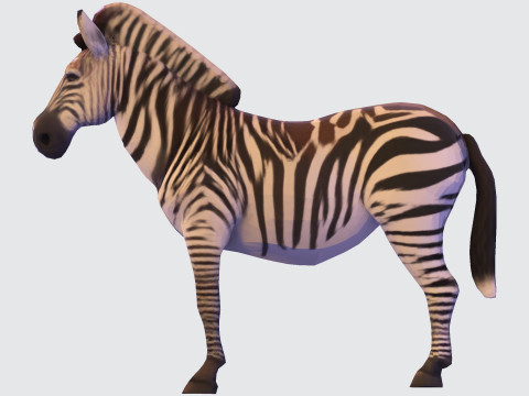 Realistic Zebra Rigging-Ready Printable Game-Optimized Asset Modello 3D