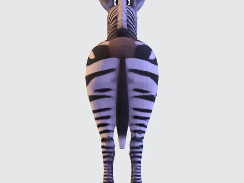 Реалистичный ресурс Zebra, готовый к печати, оптимизированный для игры 3D Модель