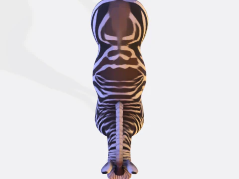 Реалистичный ресурс Zebra, готовый к печати, оптимизированный для игры 3D Модель