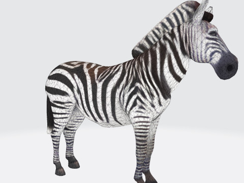 Realistic Zebra Rigging-Ready Printable Game-Optimized Asset Modello 3D