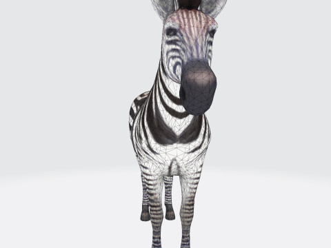 Realistic Zebra Rigging-Ready Printable Game-Optimized Asset Modello 3D