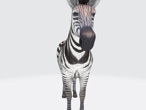Реалистичный ресурс Zebra, готовый к печати, оптимизированный для игры 3D Модель