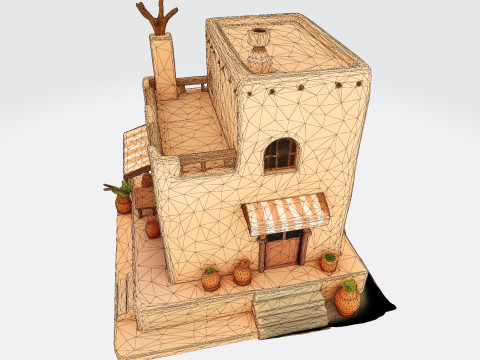 Desert Oasis Home 3D Model