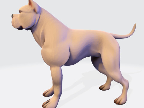 Dog Argentin Rig-Ready Low-Poly with Texture for Animation Games 3D Printing 3D मॉडल