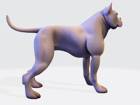 Dog Argentin Rig-Ready Low-Poly with Texture for Animation Games 3D Printing 3D मॉडल