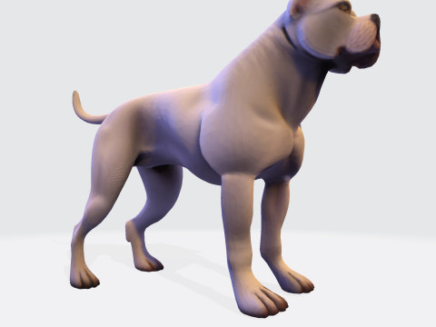 Dog Argentin Rig-Ready Low-Poly with Texture for Animation Games 3D Printing 3D मॉडल