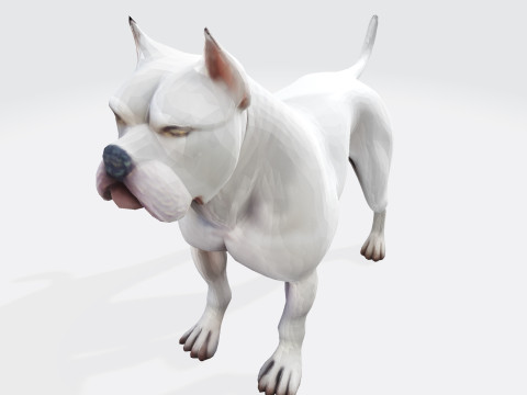 Dog Argentin Rig-Ready Low-Poly with Texture for Animation Games 3D Printing 3D मॉडल