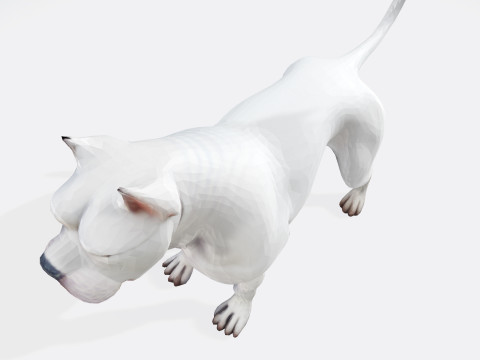 Dog Argentin Rig-Ready Low-Poly with Texture for Animation Games 3D Printing 3D मॉडल