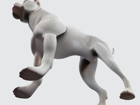 Dog Argentin Rig-Ready Low-Poly with Texture for Animation Games 3D Printing 3D मॉडल
