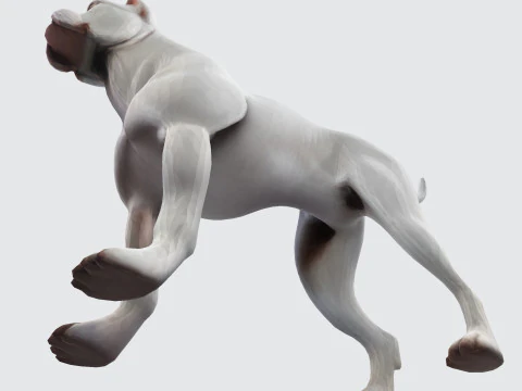 Dog Argentin Rig-Ready Low-Poly with Texture for Animation Games 3D Printing 3D Model