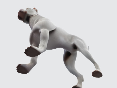 Dog Argentin Rig-Ready Low-Poly with Texture for Animation Games 3D Printing 3D मॉडल