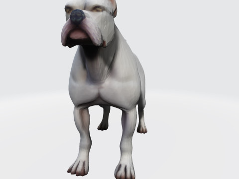 Dog Argentin Rig-Ready Low-Poly with Texture for Animation Games 3D Printing 3D मॉडल