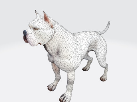 Dog Argentin Rig-Ready Low-Poly with Texture for Animation Games 3D Printing 3D मॉडल