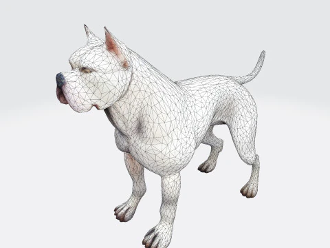 Dog Argentin Rig-Ready Low-Poly with Texture for Animation Games 3D Printing 3D Model