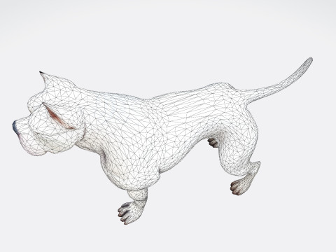 Dog Argentin Rig-Ready Low-Poly with Texture for Animation Games 3D Printing 3D मॉडल